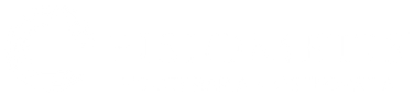 Fisiometis